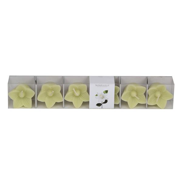 Seta Aroma Mum Kokulu Minik 6Lı Jasmıne 27.5*4.5*3.2Cm