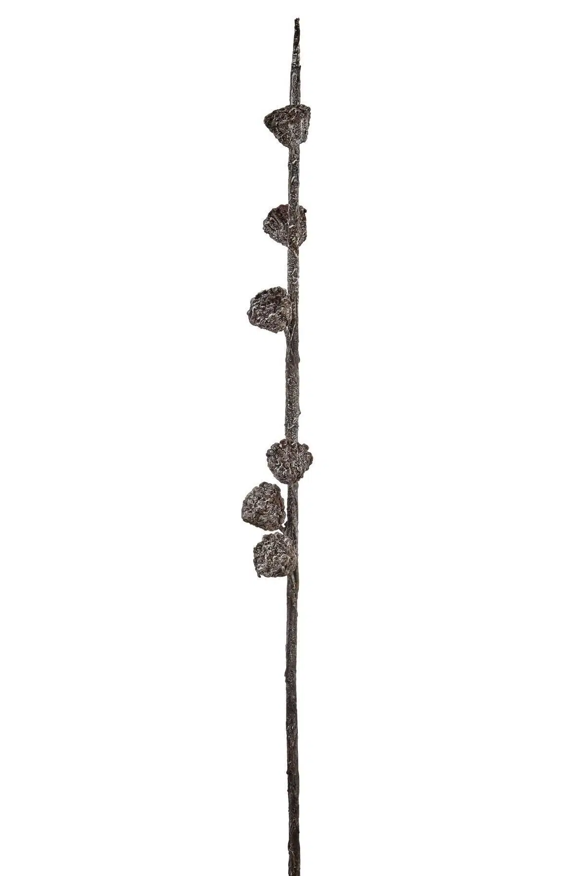 Seta Fw Antique Dal 86 Cm