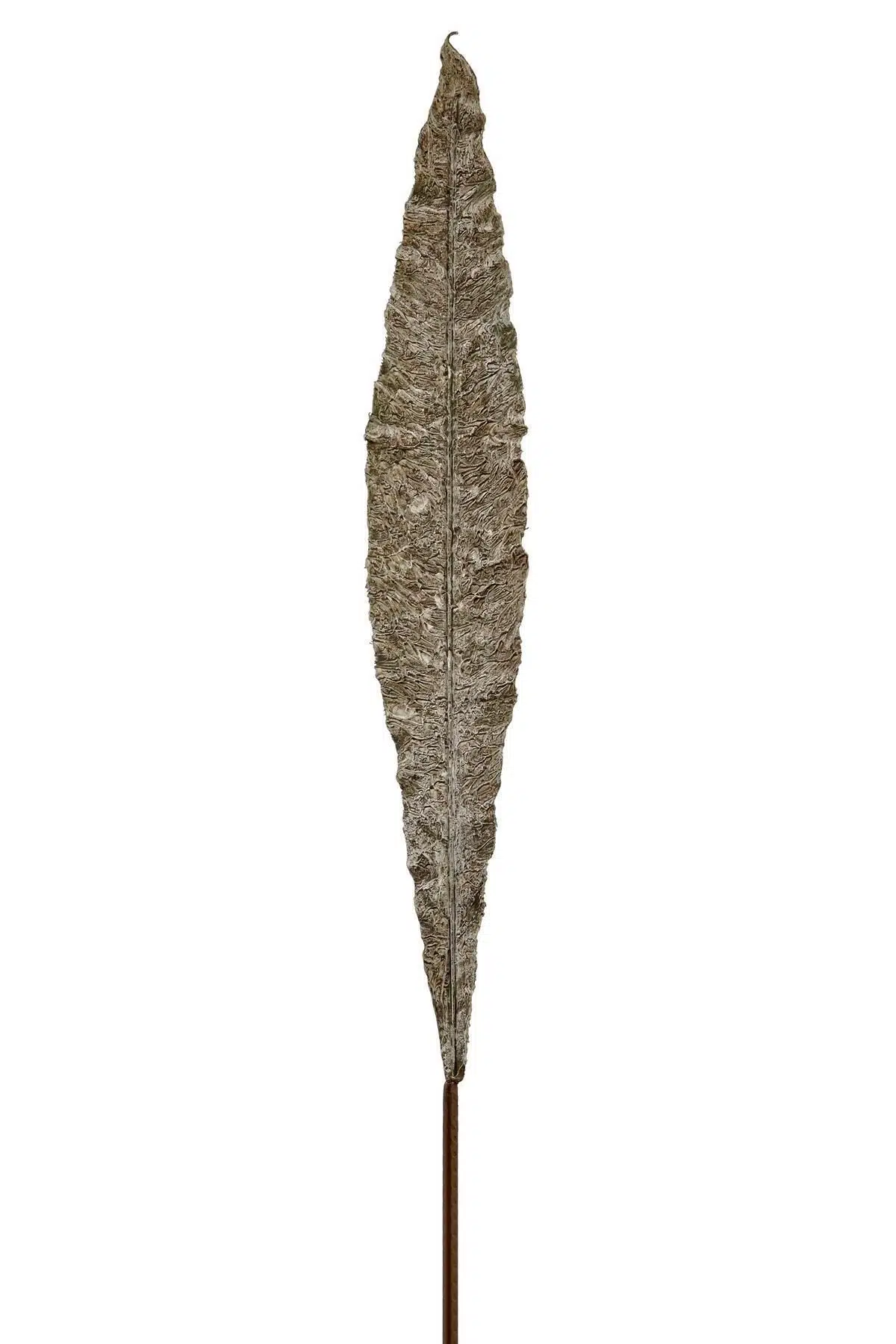 Seta Fw Antique Yaprak 108 Cm