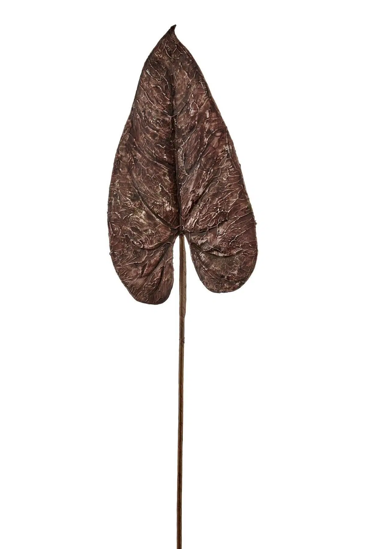 Seta Fw Antique Yaprak 64 Cm
