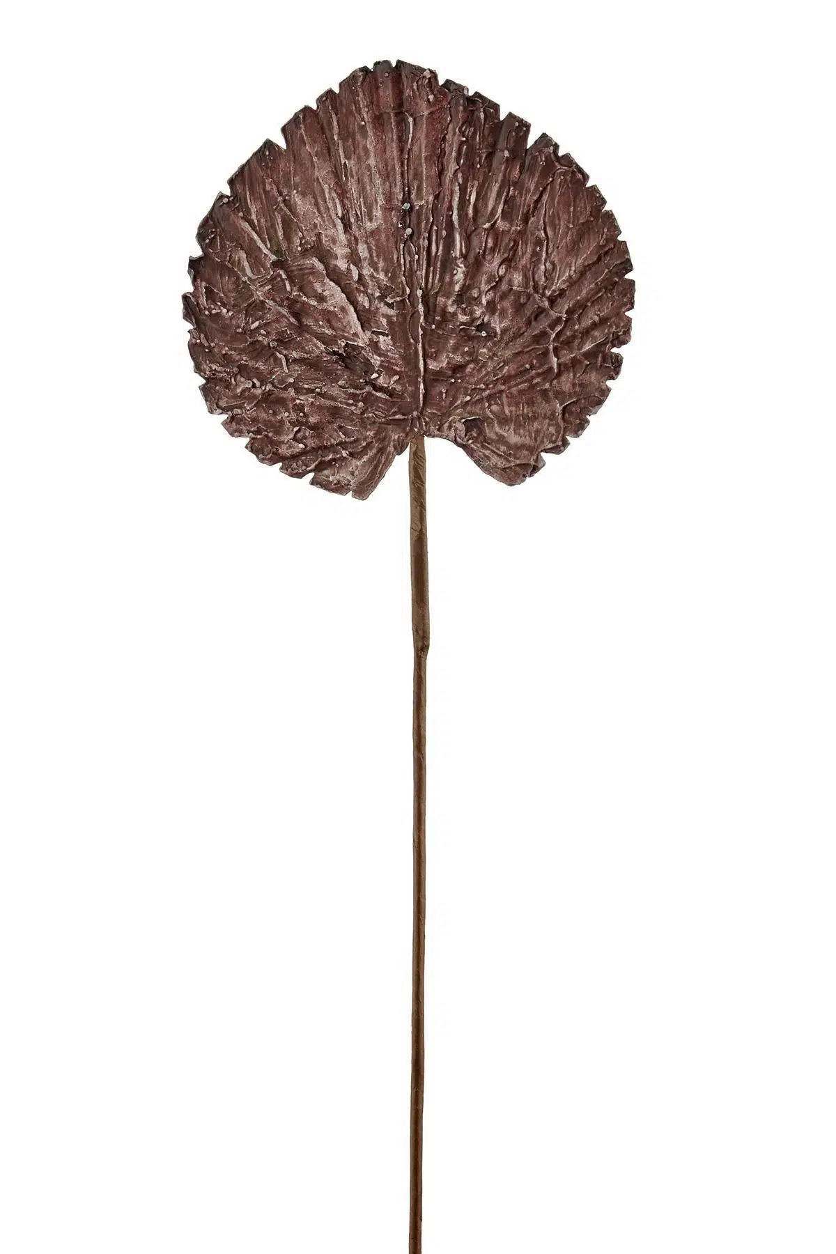Seta Fw Antique Yaprak 67 Cm