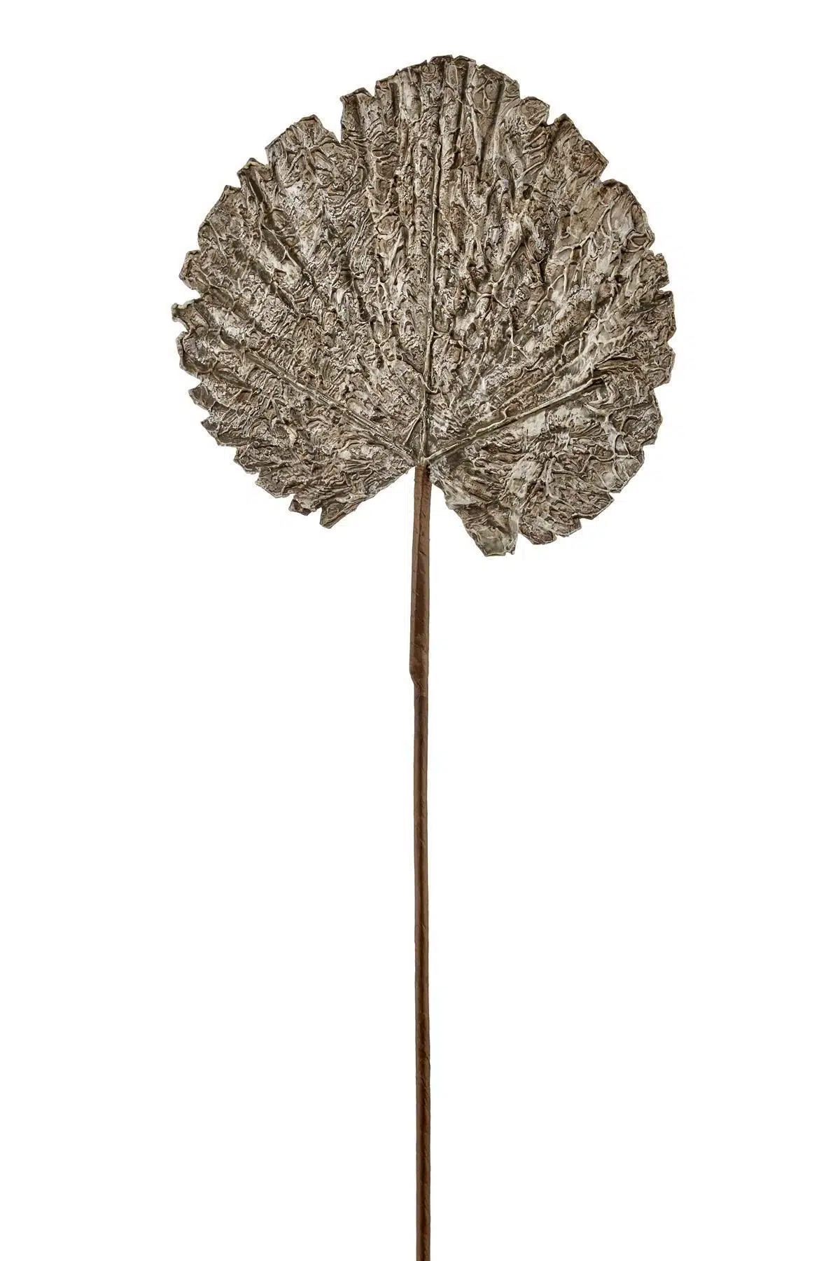 Seta Fw Antique Yaprak 71 Cm