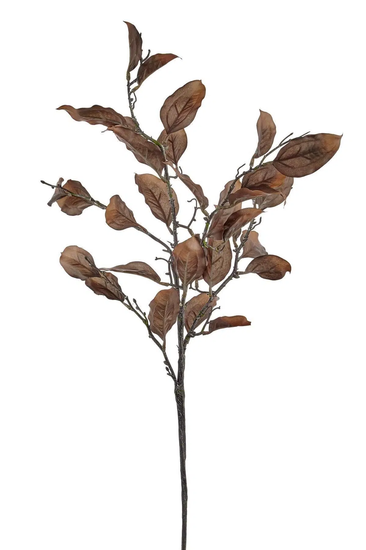Seta Fw Antique Yaprak 83 Cm
